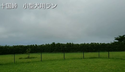 十国峠　小型犬用ラン