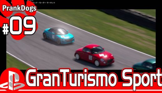 #09【Gran Turismo Sport】いいおもちゃだ。コレ。【大型犬の実況】