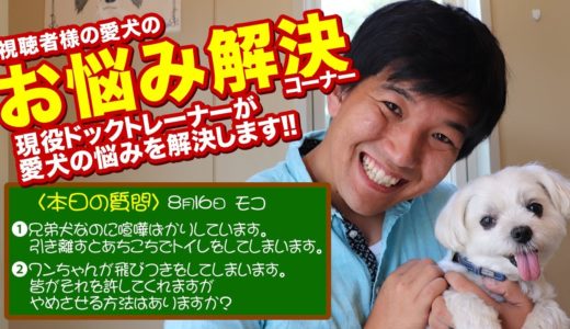 【愛犬のお悩み解決コーナー】兄弟犬なのに喧嘩ばかりしています。引き離すとあちこちでトイレをしてしまいます。ワンちゃんが飛びつきをしてしまいます。皆がそれを許してくれますがやめさせる方法はありますか？