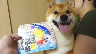 犬の冷やし中華はじめました【柴犬】