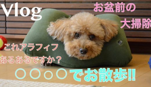 【Vlog高圧洗浄機で大掃除】お散歩大好き犬とお盆を迎える準備など