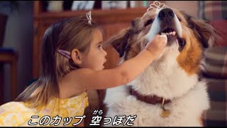 孫娘と犬のベイリーの可愛すぎるお茶会にメロメロ！映画『僕のワンダフル・ジャーニー』本編映像