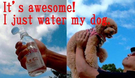 無駄にカッコよく犬に水をあげてみた。I just water my dog.