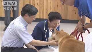 犬や猫の保護施設をご視察　秋田県訪問中の両陛下(19/09/08)