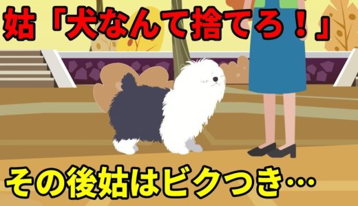 私の老犬介護生活に母が「お疲れさんだったね。よく頑張ったね」 私「ここまで介護できたのはあの子だったからだよ」それを聞いたウザ姑は…(スカッとする話をアニメ化)