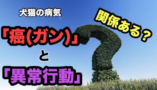 犬の異常行動とがんは関係があるの？脳腫瘍について