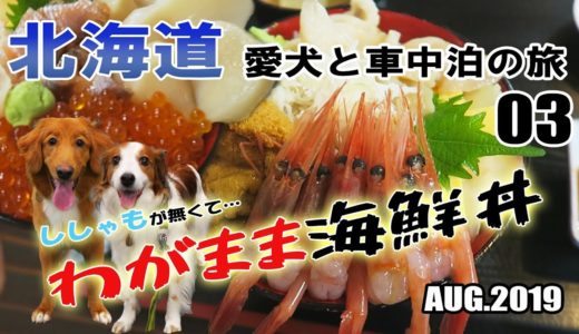 【車中泊】北海道 犬連れ キャンピングカーの旅 2019 EP03 北海道づくしワガママ海鮮丼（苫小牧）