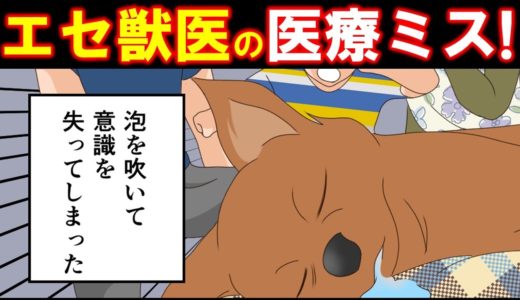 【スカッとした話】獣医「元から欠陥あった犬！」→医療ミスでペット瀕死→違う病院でオペ【漫画動画】