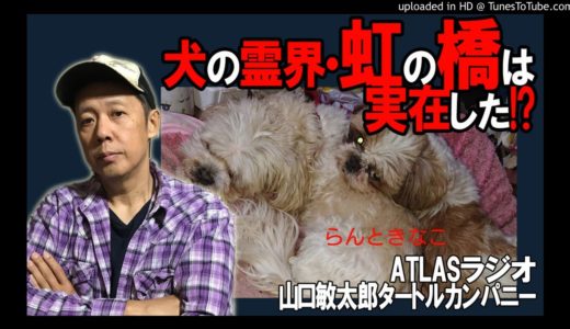 ATLASラジオ114：犬の霊界・虹の橋は実在した