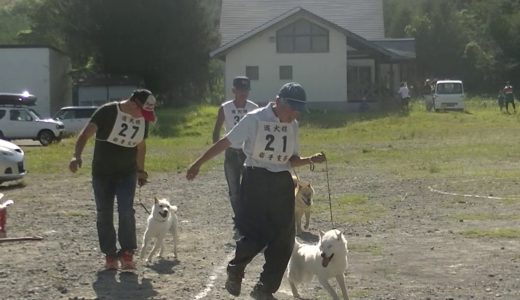 北海道犬保存会　岩手支部展覧会　展覧部　全犬優勝決定戦