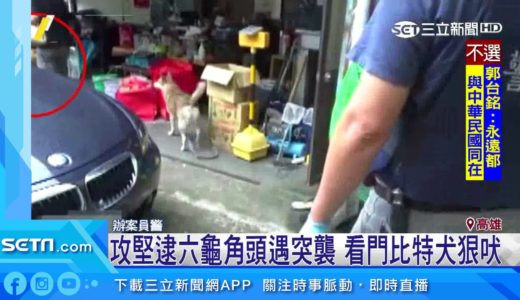 逮角頭遭比特犬突襲 警破兵工廠驚險閃｜三立新聞台