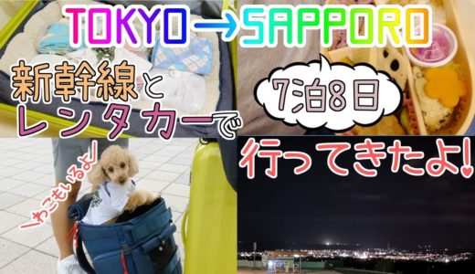 犬と一緒！東京から札幌まで新幹線とレンタカーで行ったトイプードルのわこ-Toypoodle waco went from Tokyo to Sapporo by bullet train-