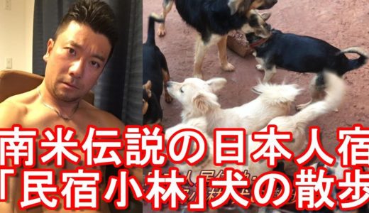 【犬の散歩編】パラグアイ・イグアス日本人居住区！南米伝説の日本人宿「民宿小林」犬の散歩編②Japanese guest house Kobayashi,Colonia Iguazu,Paraguay