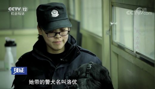 《见证》 20190913 超能警犬（一）“犬”力出击| CCTV社会与法