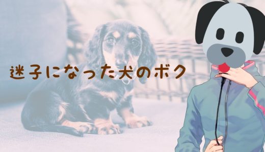 【女性向け】迷子になった犬のボク【シチュエーションボイス】