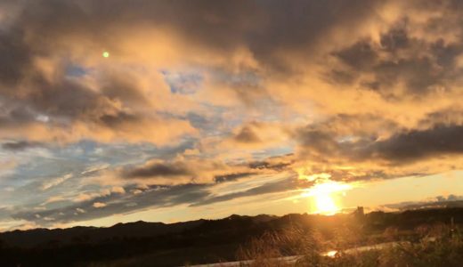 虹の出た夕焼け・秋田犬親子三代の夕方散歩