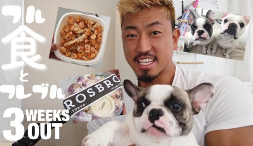 【ルーティンVlog】減量中のフル食と愛犬のフレブル登場！【犬】