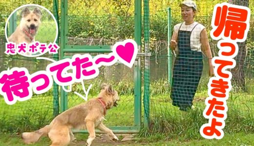 まるで忠犬…いなくなったママを待ち続ける子犬にパパ感動！かわいすぎる…！