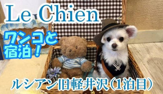 【マルチーズわたまる】犬と旅行♪ルシアン旧軽井沢１泊目（Maltese Dog）