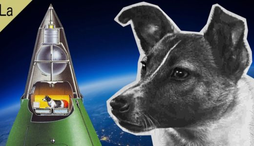 宇宙犬ライカ ~スプートニク2号で人類に希望を与えた犬~