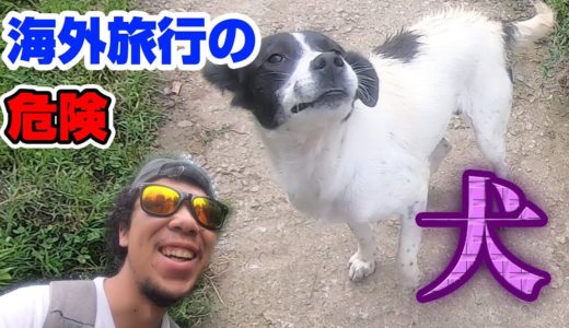 【無職注意】海外旅行での危険　犬