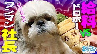 【社会派風】給料ドロボー犬  vs ワンマン社長【コント】