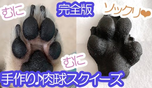 ポメラニアン犬の肉球とソックリなスクイーズの作り方（完全版）≪#733≫