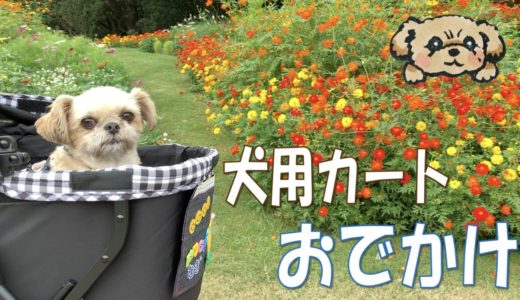 犬用カートで秋のガーデン散歩♪ 前編 - Walk in 