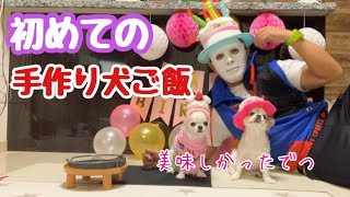 生まれて初めて手作り犬ごはんにチャレンジしました。