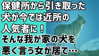 【スカッとする話 武勇伝】保健所から引き取った犬が今では近所の人気者に！そんな我が家の犬を悪く言う女が居て…