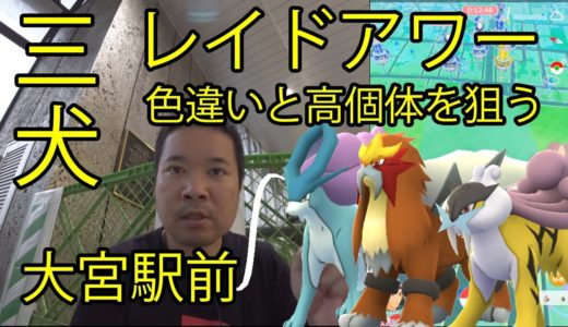 【ポケモンＧＯ】三犬レイドアワー、高個体と色違いを狙う in 大宮駅前