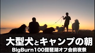 琵琶湖で大型犬とキャンプオフ会【BigBurn100】