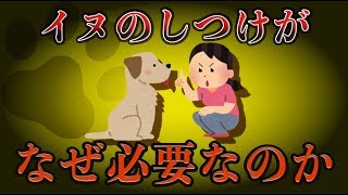 【ゆっくり解説】犬のしつけがなぜ必要なのか？