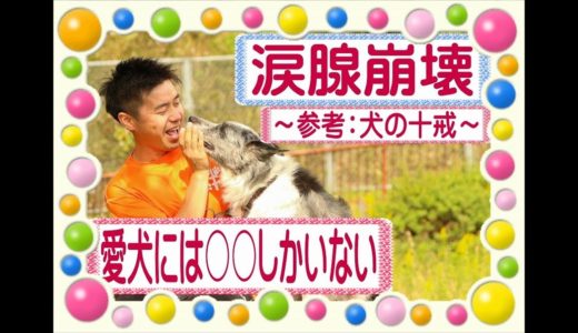 【涙腺崩壊：泣ける朗読♪】犬の十戒（子供向け）犬から飼い主への10のお願い　～愛犬家なら知っておくべき事～