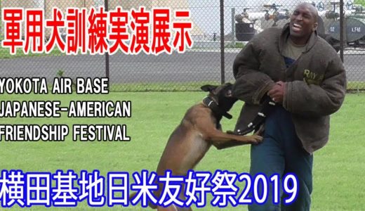 横田基地日米友好2019軍用犬訓練実演展示－噛んだら絶対離さない！/YOKOTA AIR BASE JAPANESE-AMERICAN FRIENDSHIP FESTIVAL