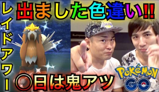 【ポケモンGO】鬼アツ！？三犬レイドアワーで結果が出ました【ハリー】