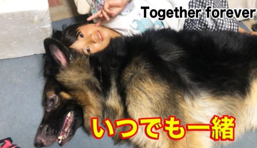 「そばにいるね」何時までも一緒♪孫娘と犬達Together forever