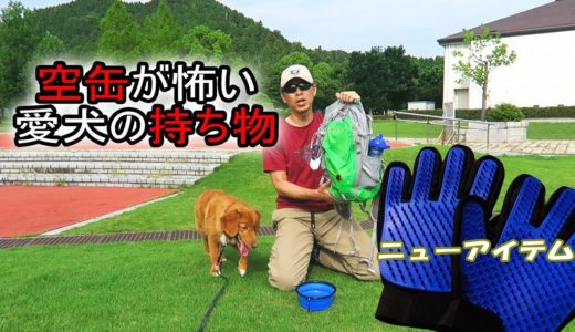 【犬GOODS】空缶が怖い愛犬の持ち物