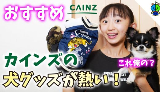 【おすすめ】カインズの犬グッズが優秀過ぎる件！PB商品が熱い！！【ももかチャンネル】