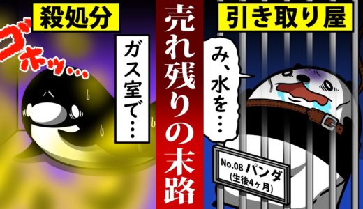 【アニメ】ペット業界の闇…！売れない犬猫は処分…引き取られて衰弱…