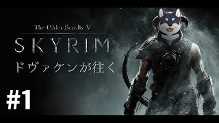 ドヴァ犬（ケン）が往くSkyrim　#1