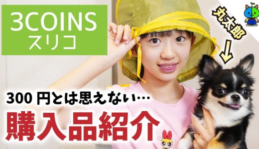 【スリーコインズ】ハロウィンにぴったりなの発見しました！犬グッズ🐶【ももかチャンネル】