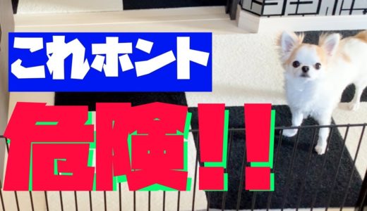 犬用ペットゲートで足の指を骨折しました！