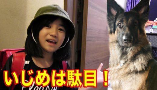 いじめは絶対駄目！孫娘とシェパード犬マックのお願いDon't be a bully