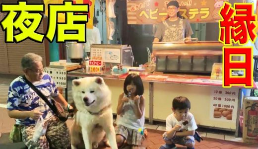 わらしべ長者犬・秋田犬そうすけ縁日を歩く・熊野前商店街・尾久銀座Carnival