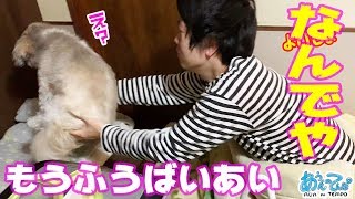 もうふのうばいあいからの感動のスバル【犬vsおっさん】