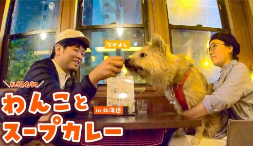 スープカレー専門店に犬と行ったら幸せでした♡【札幌・hirihiri】