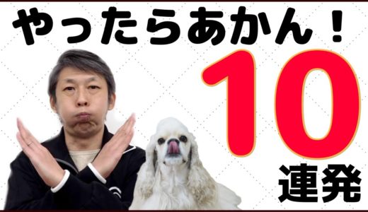 犬のしつけでやったらあかん！10連発☆