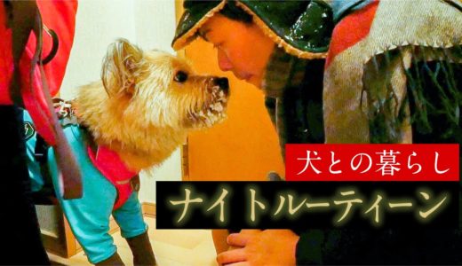 北海道の田舎で犬と暮らす夫婦のナイトルーティン【パパ編】