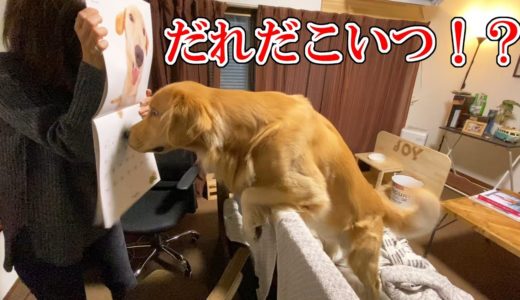 犬カレンダーへのリアクションが可愛すぎた(笑)